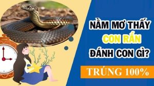 Mộng về loài rắn có thể là lộc số đề